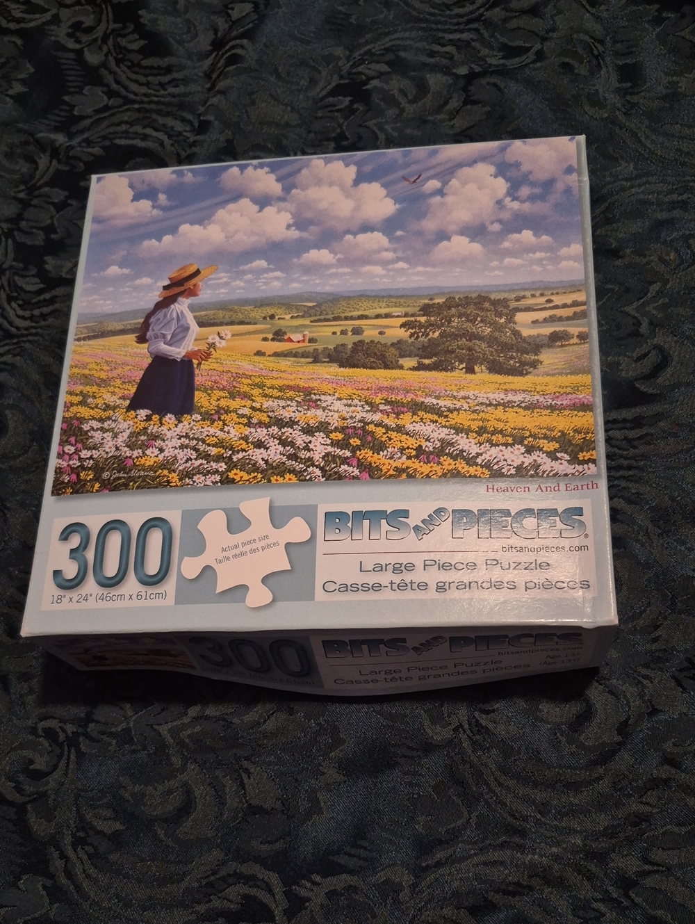 Bits and Pieces 'Heaven and Earth' 300-Piece Puzzle John Sloane New Box Damaged